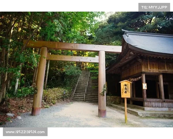 神道1.5:全面攻略指南,踏上神性之路 神道1.5:全面攻略指南,踏上神性之路